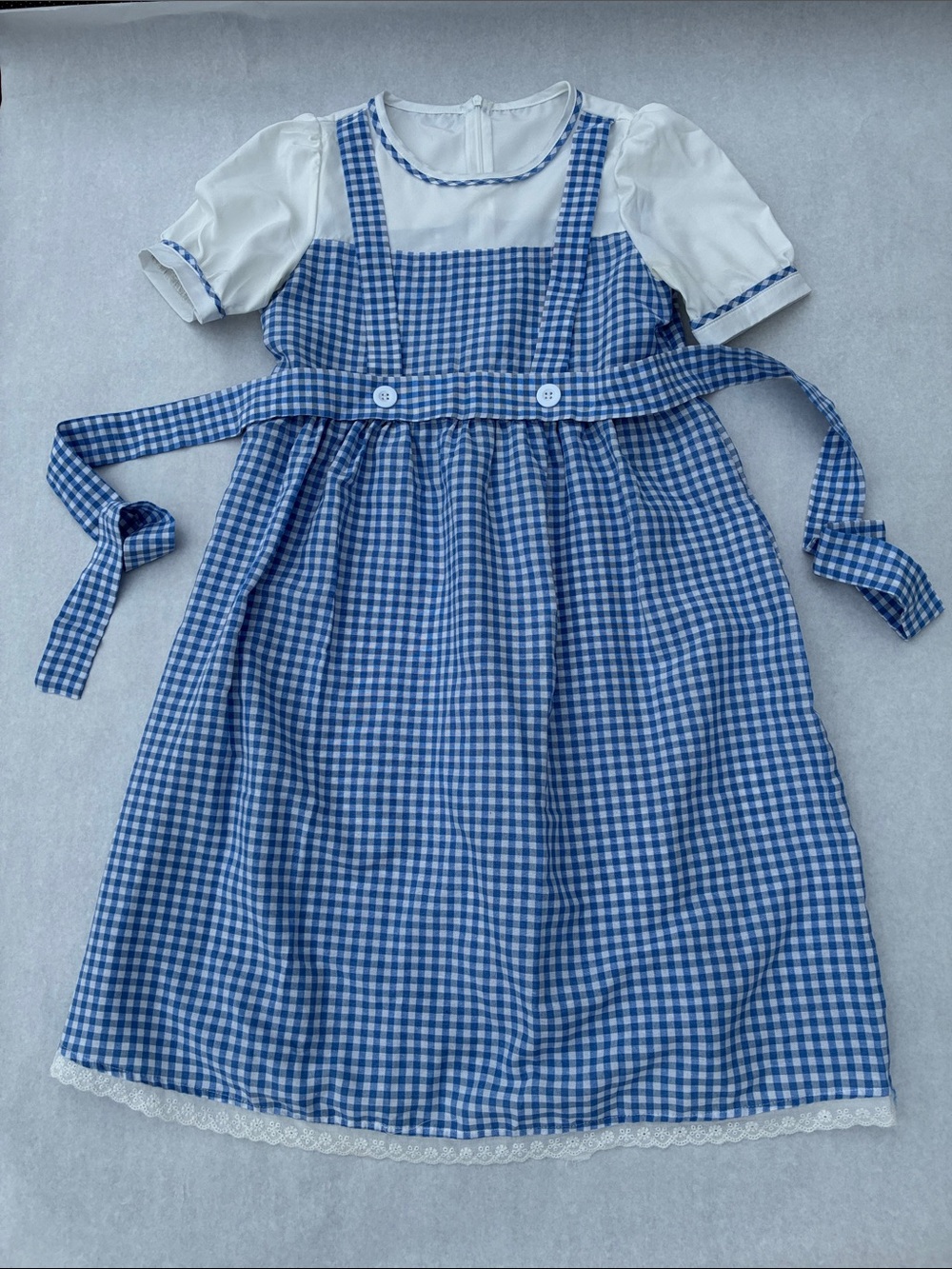 Dorothy dress/costume